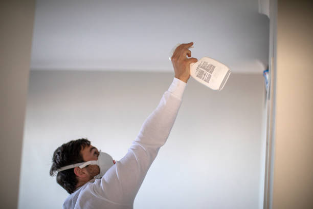 Best Residential Mold Remediation in Highlandville, MO