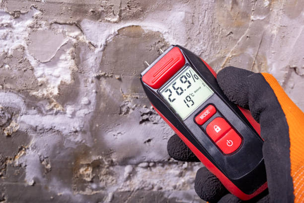 Best Bathroom Mold Remediation in Highlandville, MO